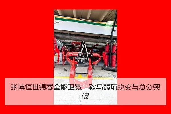 张博恒世锦赛全能卫冕：鞍马弱项蜕变与总分突破