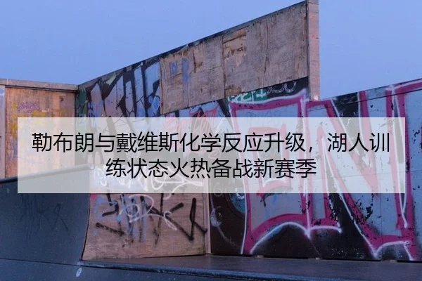 勒布朗与戴维斯化学反应升级，湖人训练状态火热备战新赛季