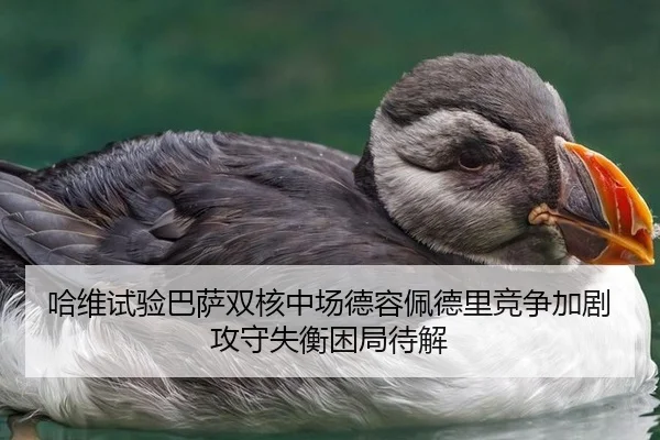 ha-wei-shi-yan-ba-sa-shuang-he-zhong-chang-de-rong-pei-de-li-jing-zheng-jia-ju-gong-shou-shi-heng-kun-ju-dai-jie-2-398.jpg