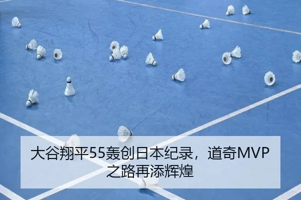 da-gu-xiang-ping-hong-chuang-ri-ben-ji-lu-dao-qi-zhi-lu-zai-tian-hui-huang-2-531.jpg