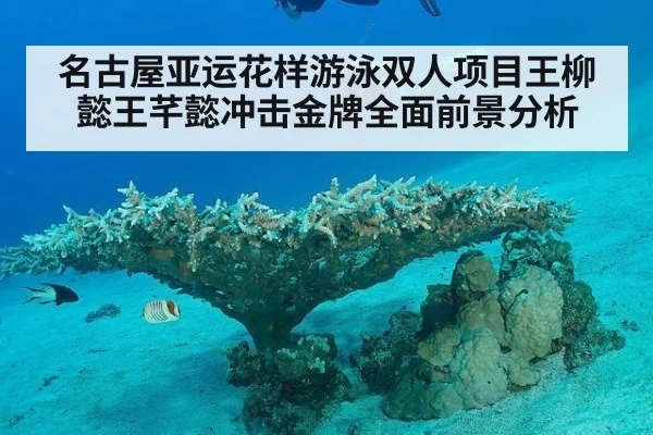 名古屋亚运花样游泳双人项目王柳懿王芊懿冲击金牌全面前景分析